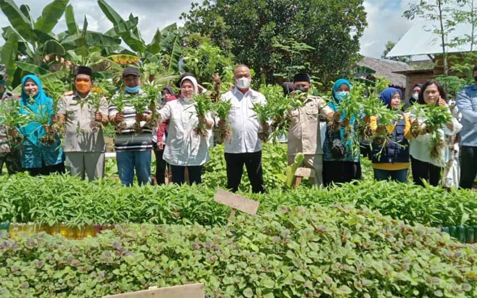 Binaan Dinas Pertanian, KWT Kampung Cedde Binturu Panen Perdana