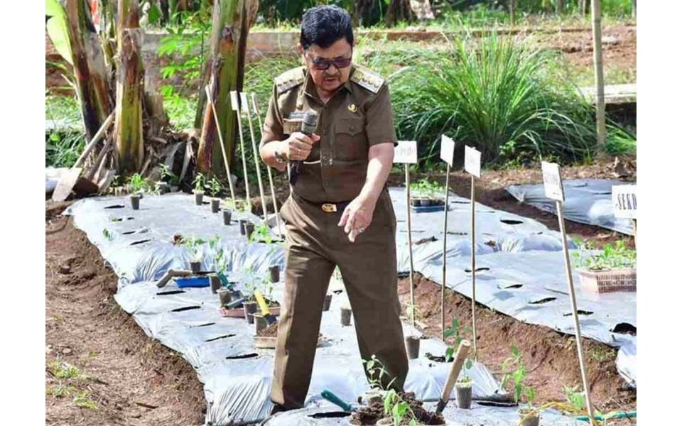 Kurangi Dampak Inflasi, Wali Kota Palopo Canangkan Gerakan Tanam Cepat Panen